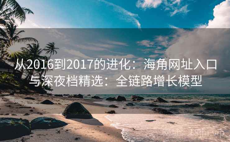 从2016到2017的进化:海角网址入口与深夜档精选:全链路增长模型