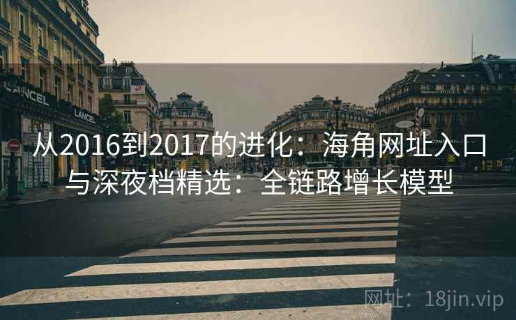 从2016到2017的进化:海角网址入口与深夜档精选:全链路增长模型