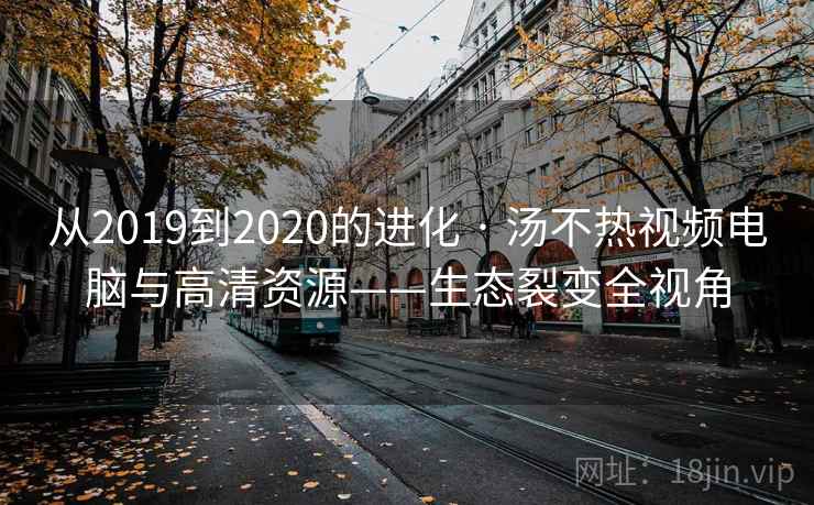 从2019到2020的进化 · 汤不热视频电脑与高清资源——生态裂变全视角