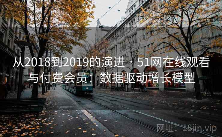 从2018到2019的演进 · 51网在线观看与付费会员：数据驱动增长模型
