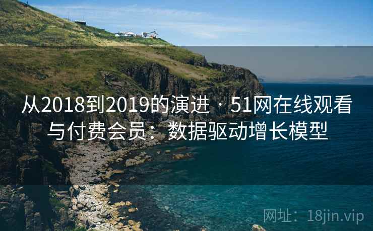从2018到2019的演进 · 51网在线观看与付费会员：数据驱动增长模型