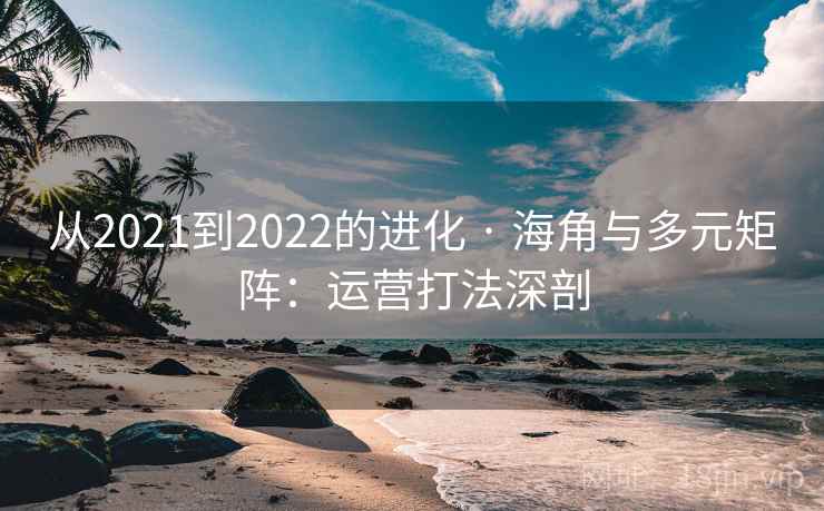 从2021到2022的进化 · 海角与多元矩阵:运营打法深剖