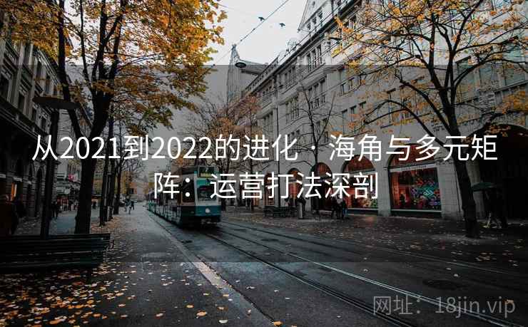 从2021到2022的进化 · 海角与多元矩阵:运营打法深剖