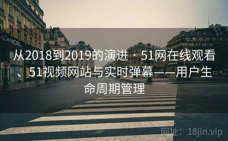 从2018到2019的演进 · 51网在线观看、51视频网站与实时弹幕——用户生命周期管理
