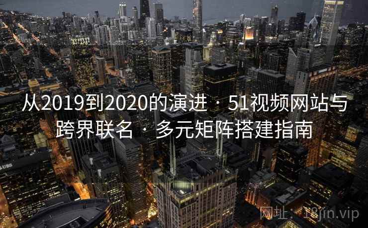 从2019到2020的演进 · 51视频网站与跨界联名 · 多元矩阵搭建指南